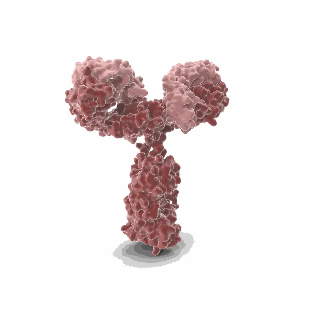 Gentaur FITC Mab Antibody for Fluorescence Detection